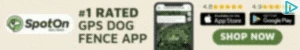 Creative Screenshot 3