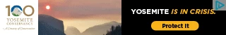 Creative Screenshot 2