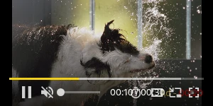 Creative Screenshot 2
