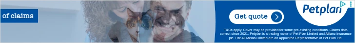 Creative Screenshot 2