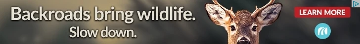 Creative Screenshot 1