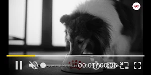 Creative Screenshot 1