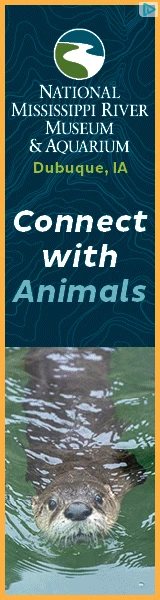 Creative Screenshot 3