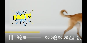 Creative Screenshot 2