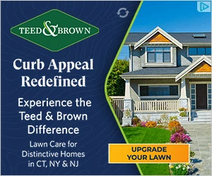 Creative Screenshot 2