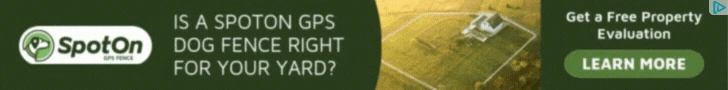 Creative Screenshot 2