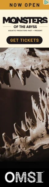Creative Screenshot 1