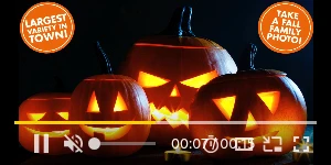 Creative Screenshot 2
