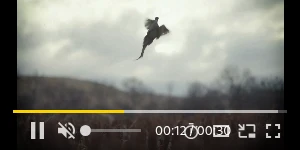 Creative Screenshot 2