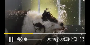 Creative Screenshot 2