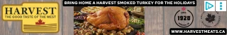 Creative Screenshot 1