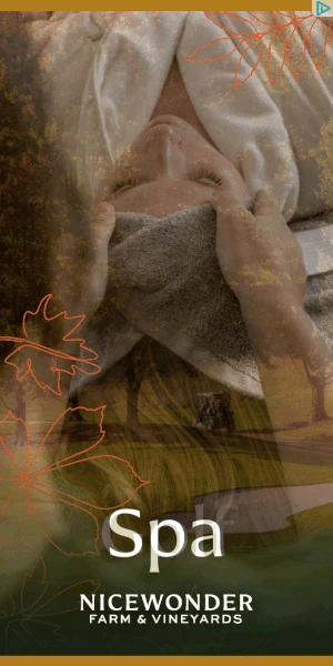 Creative Screenshot 2