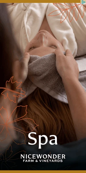 Creative Screenshot 3