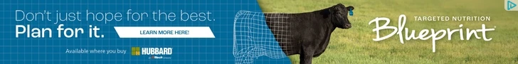 Creative Screenshot 1