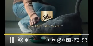 Creative Screenshot 3