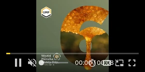 Creative Screenshot 1
