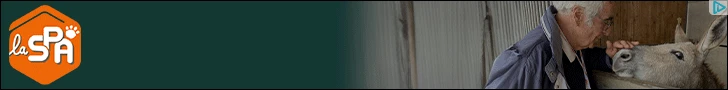 Creative Screenshot 3