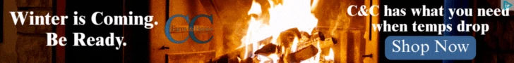 Creative Screenshot 1