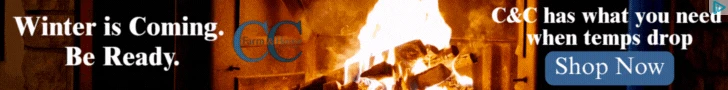 Creative Screenshot 3