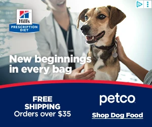 Creative Screenshot 1