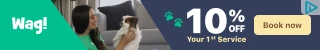 Creative Screenshot 1