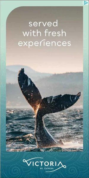 Creative Screenshot 3