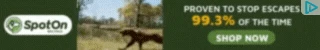 Creative Screenshot 1