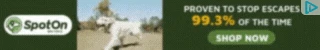 Creative Screenshot 2
