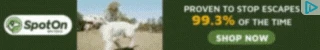 Creative Screenshot 3