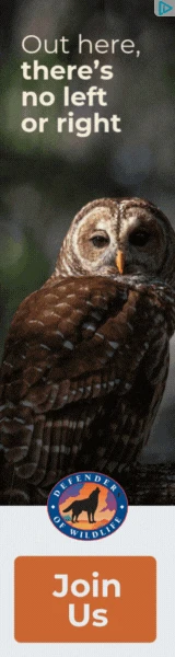 Creative Screenshot 1