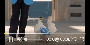 Creative Screenshot 1