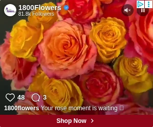 Creative Screenshot 3