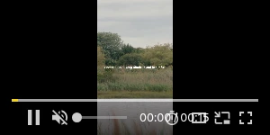 Creative Screenshot 1