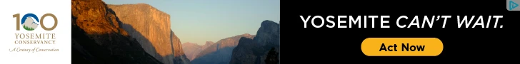 Creative Screenshot 1
