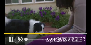 Creative Screenshot 3