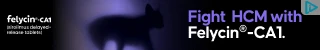 Creative Screenshot 1