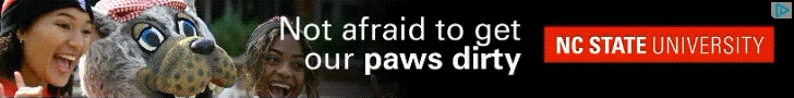 Creative Screenshot 3