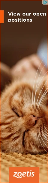 Creative Screenshot 3