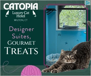 Creative Screenshot 3