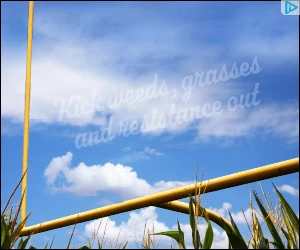 Creative Screenshot 3