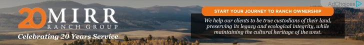 Creative Screenshot 1