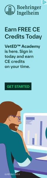 Creative Screenshot 1