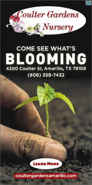Creative Screenshot 1