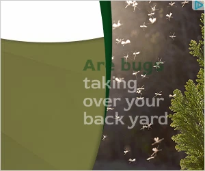 Creative Screenshot 2