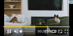 Creative Screenshot 3
