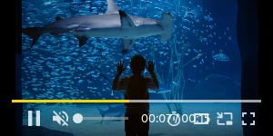 Creative Screenshot 2