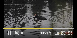 Creative Screenshot 3