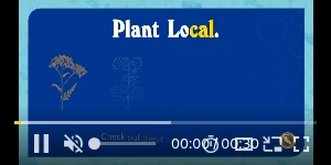 Creative Screenshot 1