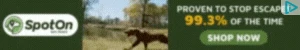 Creative Screenshot 1