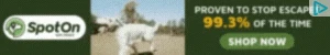 Creative Screenshot 3
